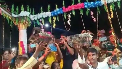 রাজ- শুভশ্রীর বিয়ে হল, এবার ভাল বৃষ্টির আশায় রায়দিঘির বাসিন্দারা