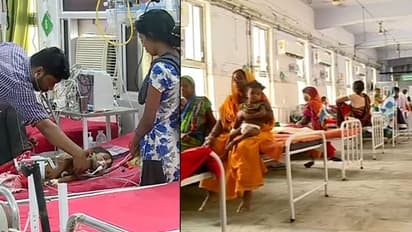 രാജ്യത്ത് മസ്തിഷ്കജ്വരം ബാധിച്ചത് 4,622 പേര്ക്ക്; മരണസഖ്യയിൽ ബിഹാറും അസമും മുന്നിൽ