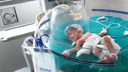 ಚರಂಡಿಯಲ್ಲಿದ್ದ ನವಜಾತ ಶಿಶು ರಕ್ಷಿಸಿದ ನಾಯಿಗಳು! CCTVಯಲ್ಲಿ ದೃಶ್ಯ ಸೆರೆ