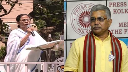 'হিন্দুরা মরছে মরুক', দিলীপের ভাইরাল ভিডিওকে নিশানা মমতার, বক্তব্যে অনড় বিজেপি নেতা