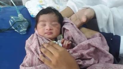 कलयुगी मां ने नवजात बेटी को नाले में फेंका, मसीहा बने कुत्तों ने बचाया