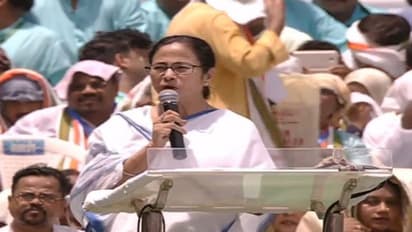 ভোটের ফল এখনও তাঁর কাছে 'মিস্ট্রি', ইভিএম- এই ফিরছেন মমতা