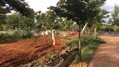 చెట్టు నరికినందుకు వెయ్యి రూపాయలు ఫైన్: తెలంగాణ సర్కార్ కీలక నిర్ణయం