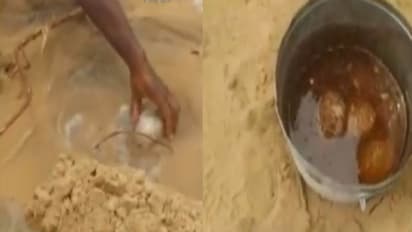 జగన్ సొంత జిల్లాలో కలకలం: జమ్మలమడుగులో 54 నాటు బాంబులు స్వాధీనం