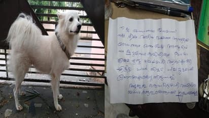 ಪಕ್ಕದ್ಮನೆ ನಾಯಿಯೊಂದಿಗೆ ಅನೈತಿಕ ಸಂಬಂಧ, ಮನೆಯಿಂದಲೇ ಶ್ವಾನ ಔಟ್