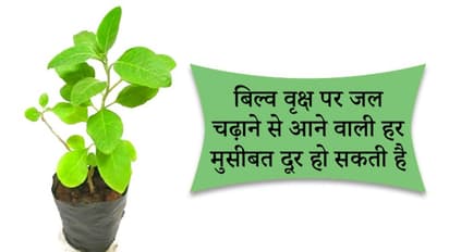 शिवलिंग पर बिल्व पत्र चढ़ाने से दूर हो सकती है हर परेशानी, लेकिन ध्यान रखें ये 5 बातें