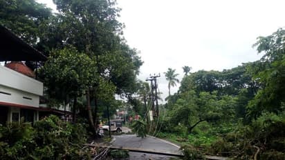 തോരാമഴയില് വെള്ളക്കെട്ടും നാശനഷ്ടവും; ചേര്ത്തലയില് ദുരിതമൊഴിയാതെ ജനങ്ങള്