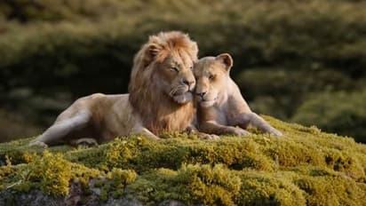 ಕೊರೋನಾ ಎಫೆಕ್ಟ್: ಸಿಂಹಧಾಮದಲ್ಲೂ ಆರ್ಥಿಕ ಸಂಕಷ್ಟದ ಘರ್ಜನೆ..!