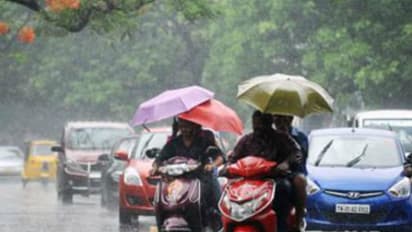 অবশেষে কী দেখা মিলল বর্ষার! আগামী ৪৮ ঘন্টায় বৃষ্টির পূর্বাভাস