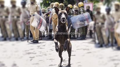 ' നന്ദിയുള്ള നായ് '; ജനമൈത്രി പൊലീസ് ഫേസ്ബുക്കില്‍ പങ്കുവച്ച ചിത്രം വൈറല്‍