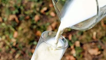 മില്ക്ക് മെയ്ഡുണ്ടാക്കുന്നത് ഷാമ്പൂവും പെയിന്റും ഉപയോഗിച്ച്; പുറത്തായത് വമ്പന് കളികള്!