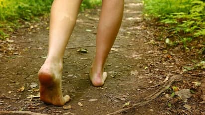 நோய்களை நீக்கும் வெறுங்கால் வைத்தியம்.. பலர் அறியாத வாக்கிங் 'டிப்ஸ்' 