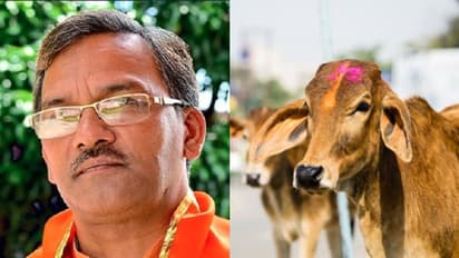 Cows inhale and exhale oxygen, can cure breathing problems: Uttarakhand CM Trivendra Singh Rawat