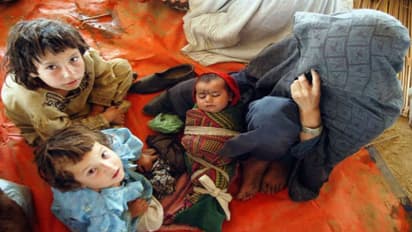 ৪০ শতাংশ পাকিস্তানি শিশু অপুষ্টির শিকার, সমীক্ষায় উঠে এল ভয়াল চিত্র