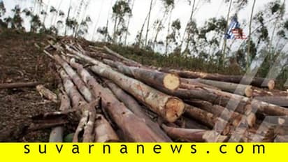 ಲಾಕ್‌ಡೌನ್‌: ದುಷ್ಕರ್ಮಿಗಳಿಂದ ಮರಗಳ ಮಾರಣ ಹೋಮ!