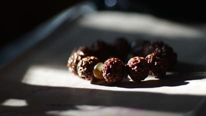 রুদ্রাক্ষ তো চেনেন, তবে এর যে এত গুণ জানতেন কী!