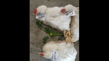 ಕೂಗೋ ಕೋಳಿಗೆ ಖಾರ ಮಸಾಲೆ, ಬಾಡೂಟಕ್ಕೆ ಚಿಕನ್ ಆದ್ರು ಜೆಡಿಎಸ್ ಶಾಸಕರು!