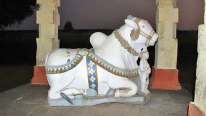 తూ.గో జిల్లా గోలింగేశ్వరస్వామి ఆలయంలో కలకలం:నంది విగ్రహం మాయం