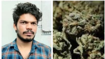 തിരുവമ്പാടിയിൽ യുവാവ് കഞ്ചാവുമായി പിടിയില്; കുടുങ്ങിയത് വിദ്യാര്ത്ഥികള്ക്ക് കഞ്ചാവ് വിതരണം ചെയ്യുന്നയാള്