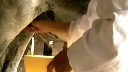 ಹೈನುಗಾರರಿಗೆ ಇನ್ಮುಂದೆ ಸಿಗುತ್ತೆ ಪಿಂಚಣಿ