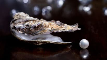 মুক্তো তো ব্যবহার করেন! সেটি যে আসল বুঝবেন কী করে