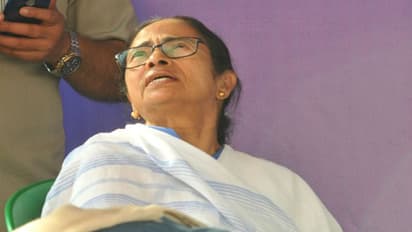 কাটমানির মতো ব্যুমেরাং নাকি 'চায় পে চর্চার' মতো হিট হবে 'দিদিকে বলো'