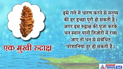 सावन में किन चीजों को घर  में लाने से बदलता है भाग्य