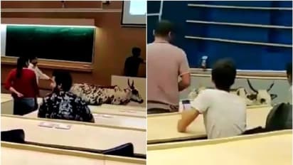 ಮುಂಬೈ ಐಐಟಿ ಮೊದಲ ಮಹಡಿ ಪರೀಕ್ಷಾ ಕೊಠಡಿಗೆ ಬಂತು ಬೀದಿ ಹಸು!