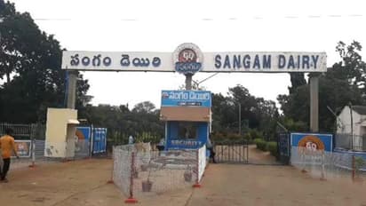 సంగం డెయిరీలో రూ.44 లక్షల చోరీ, 24 గంటల్లో ఛేదించిన పోలీసులు