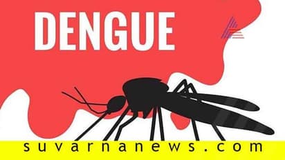 ಡೆಂಘೀ ಜ್ವರ; ಭಯ ಬೇಕಾಗಿಲ್ಲ, ನಿರ್ಲಕ್ಷ್ಯ ಬೇಡ!