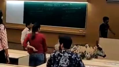 IIT बॉम्बे की क्लास में अचानक घुस आया ये जानवर, मच गई भगदड़