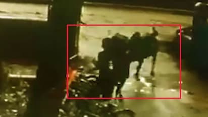 ಐಐಟಿ ಆವರಣದಲ್ಲಿ ಗೂಳಿಗಳ ದಾಳಿ: ಓರ್ವ ವಿದ್ಯಾರ್ಥಿ ಗಂಭೀರ!