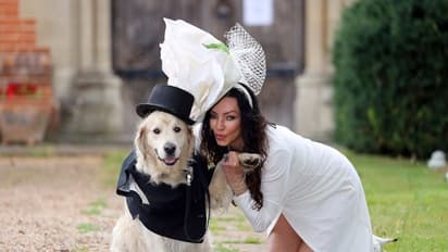 British woman ties knot with her golden retriever, yes a dog!