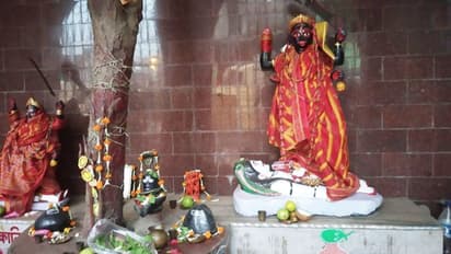 কালীর আরাধনায় চিনা পুরোহিত, প্রসাদে দেওয়া হয় নুডুলস, চপস্যুই...