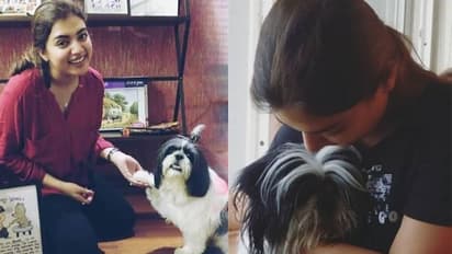 ഓറിയോയോട് മിണ്ടിയും പറഞ്ഞും നസ്രിയ - വീഡിയോ