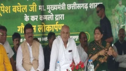 भौंरा देखकर मुस्कराए छग के CM, खुद को खेलने से नहीं रोक सके