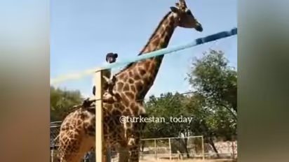 രണ്ടെണ്ണമടിച്ചു; ജിറാഫിനെക്കണ്ടപ്പോള് കുതിരയാണെന്ന് തോന്നി, അതൊരു തെറ്റാണോ?