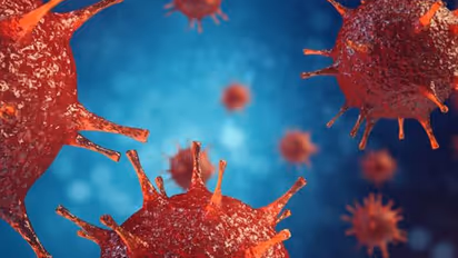 ക്യാൻസറിന് കാരണമാകുന്ന 6 ഭക്ഷണങ്ങൾ