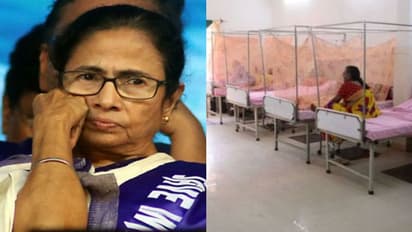 রাজ্যে ডেঙ্গুর প্রকোপ বৃদ্ধির জন্য দায়ি কি বাংলাদেশ, মুখ্যমন্ত্রীর মন্তব্যে উঠছে প্রশ্ন