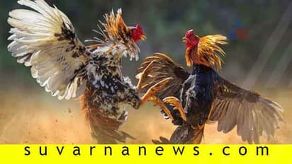 ಲಾಕ್ಡೌನ್ ಮಧ್ಯೆಯೂ ಕೋಳಿ ಅಂಕ; 7 ಮಂದಿ ಬಂಧನ