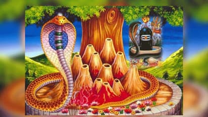 నాగుల చవితి విశిష్టత..!