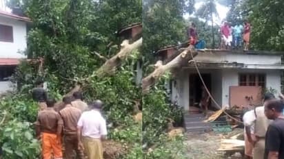 ശക്തമായ കാറ്റ്; കണ്ണൂർ ജില്ലയിൽ വ്യാപകനാശനഷ്ടം