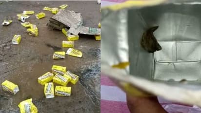 নামী সংস্থার ম্যাংগো ড্রিংকের প্যাকেটে টিকটিকি, বারুইপুরে অসুস্থ শিশু