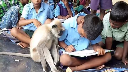 VIDEO: इस सरकारी स्कूल में पढ़ने आती है खास स्टूडेंट, कभी नहीं मारती बंक
