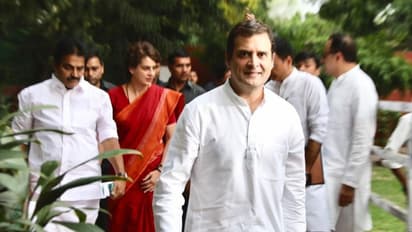 तीन राज्यों के चुनाव में राहुल प्रियंका होंगे कांग्रेस के स्टार प्रचारक