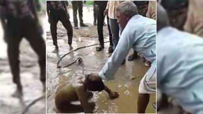 मॉब लिंचिंग: युवक के लिए जी का जंजाल बनी एक बकरी