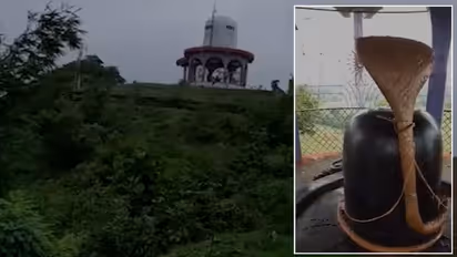 नागपंचमी पर दिखा अजब सीन: शिवलिंग से लिपटकर बैठा रहा सांप