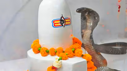 নাগ পঞ্চমীর আগের রাতে ১১ টাকার এই টোটকা কাজে লাগান, পূরণ হবে মনের সব ইচ্ছা