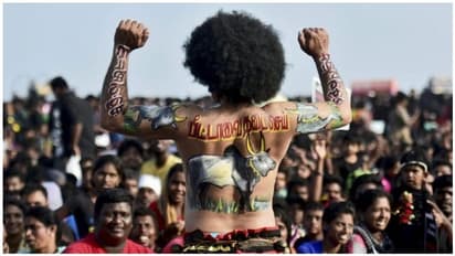 ஜல்லிக்கட்டு போராட்ட சாப்பாடு பார்சலில் காண்டம்..! திருமாவளவன் பேச்சால் சர்ச்சை..!