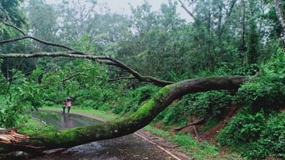 ಮಲೆನಾಡಲ್ಲಿ ಮಳೆ ಅಬ್ಬರಕ್ಕೆ ಜನಜೀವನ ತತ್ತರ